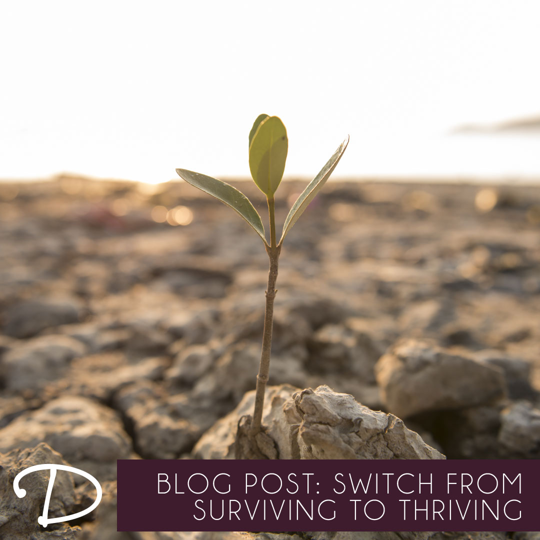 How You Can Switch From Surviving to Thriving in the New Year