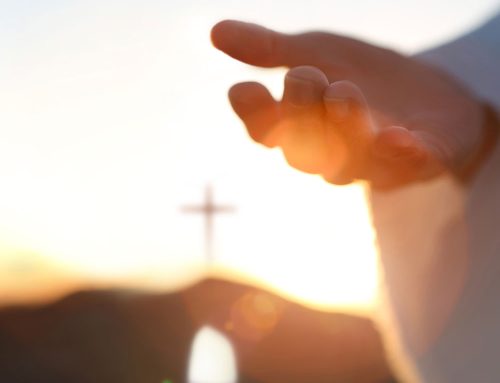 The Return to Reverence: Why Religion Still Matters in a Changing World